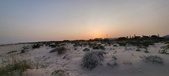 Enlarge photo 133