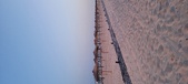 Enlarge photo 137