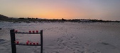 Enlarge photo 139