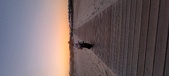Enlarge photo 154
