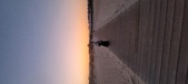 Enlarge photo 155