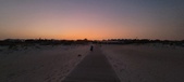 Enlarge photo 161