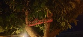 Enlarge photo 173