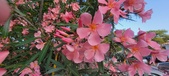 Enlarge photo 179