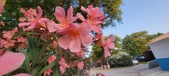 Enlarge photo 180