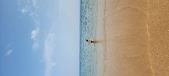 Enlarge photo 186