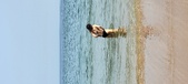 Enlarge photo 187