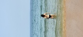 Enlarge photo 188