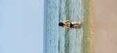Enlarge photo 189