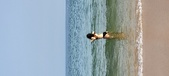 Enlarge photo 191