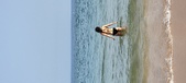 Enlarge photo 193