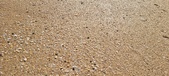 Enlarge photo 195