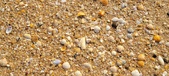 Enlarge photo 196