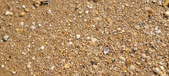 Enlarge photo 197