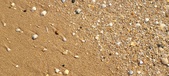 Enlarge photo 198