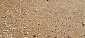 Enlarge photo 199