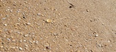 Enlarge photo 200