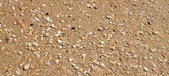 Enlarge photo 201