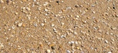 Enlarge photo 202