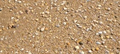 Enlarge photo 203