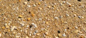 Enlarge photo 204