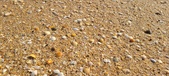 Enlarge photo 205