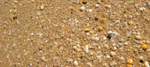 Enlarge photo 206