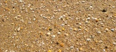 Enlarge photo 207