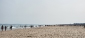 Enlarge photo 208