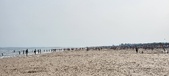 Enlarge photo 209