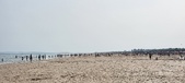 Enlarge photo 210