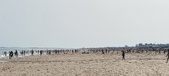 Enlarge photo 216