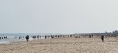 Enlarge photo 217