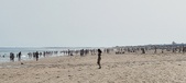 Enlarge photo 219