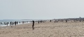 Enlarge photo 220