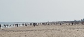 Enlarge photo 221