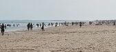 Enlarge photo 222