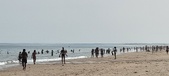 Enlarge photo 223