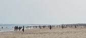 Enlarge photo 224