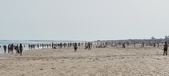 Enlarge photo 225