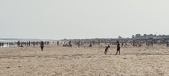 Enlarge photo 226