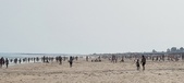 Enlarge photo 227