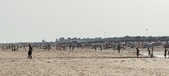 Enlarge photo 228