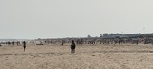 Enlarge photo 229