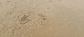 Enlarge photo 231