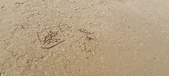 Enlarge photo 232