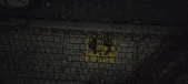 Enlarge photo 246