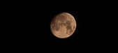 Enlarge photo 252