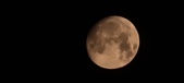 Enlarge photo 253