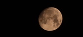 Enlarge photo 254